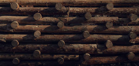 Retaining Wall made of stacked raw wooden logs