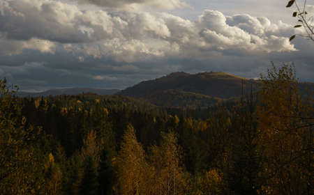 View of colorful autumn on Carpathian mountains forest in Ukraine