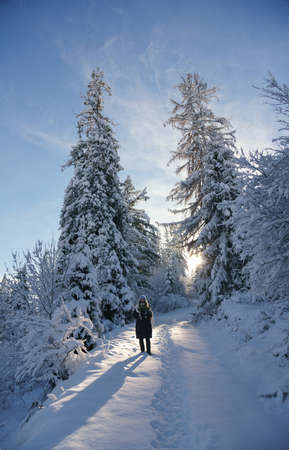 Hidden House on river side in snowy mountain forest in winterの写真素材