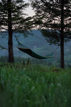 hammock hanged on trees with a mountain viewの写真素材