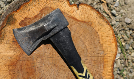 Axe with yellow handle on wood logの写真素材