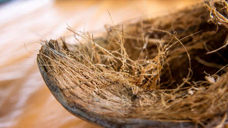 Close up of the detail of dried coconut fiber in the coconut fruit on the table. Shallow depth of field photograph.の写真素材