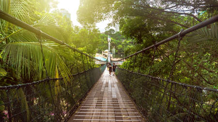 Subang Jaya, Malaysia - November 28, 2019: The Malaysia's longest pedestrian suspension bridge with sun flare at Sunway Lagoon theme park in Bandar Sunway. Fantastic view of the park from the bridge.のeditorial素材