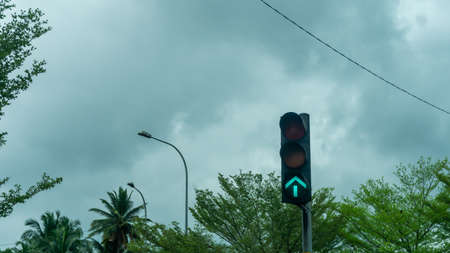 Traffic light showing green arrow color which indicate move for the vehicles. Vehicle can start to...