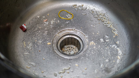 Clogged sink with food leftover. Uncleaned kitchen sink with dirty food leftover.の写真素材