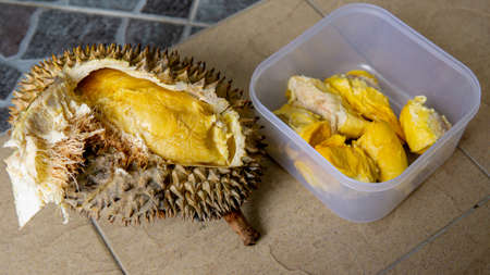Opened up Durian fruit and store it inside a plastic food container for making a "Tempoyak" or fermented durian. King of fruits in Southeast Asian. Selective focus.の写真素材