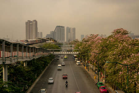 Bangkok, Thailand-February 7, 2020: Traffic on Phaholyothin road under sky walkay to BTS train station beside Pink Trumpet tree flower begin blooming at Chatuchak park  under cloudy sky with PM 2.5 air pollutionのeditorial素材