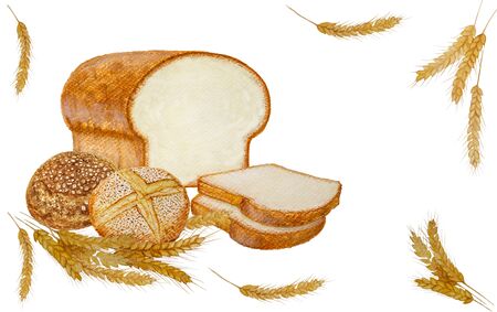 Brown color of white loaf french bread baked and bunches of brown dry wheat seeds illustration,   isolated on white backgrounds with clipping pathの写真素材