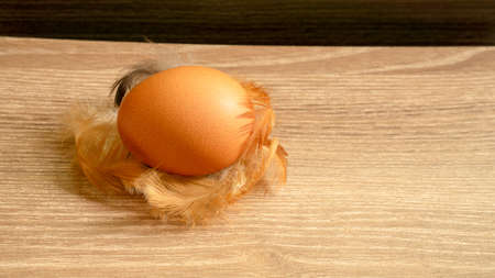 A brown hen eggs and chicken feather on  wooden table, closeup photo and copy space