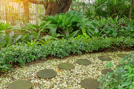 Circle shape of pattern walkway stepping sand stone on white gravel in a backyard garden of lush...