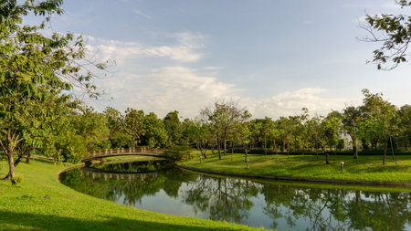 A small clean lake in public park, greenery trees, shrub and bush, green grass lawn in a good care...