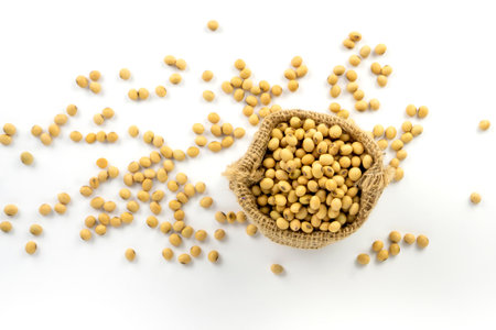 A pile of Soy bean known as Glycine max beans in a brown sack on white background, top view photoの写真素材