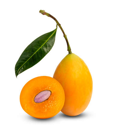 Bunch of yellow ripe Plum mango fruit with green leaf or Marian plum known as Mayongchid plant and...