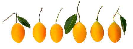 Bunches of yellow ripe Plum mango fruit with green leaf or Marian plum known as Mayongchid plant and...