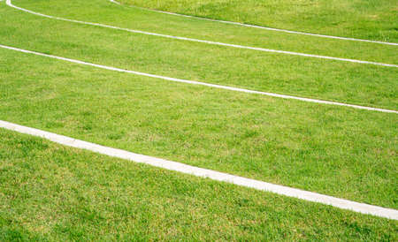 Smooth green grass lawn as a carpet in garden backyard, good care maintenance landscapes decorated...