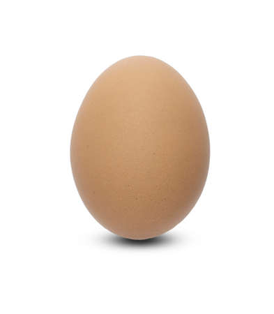 One brown chicken egg isolated on white backgrounds