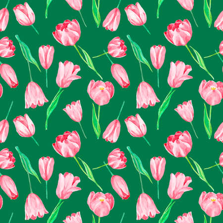 Pink Tulip flower plant and green leaf seamless pattern, illustration watercolor drawing isolated on green background, elements for fashion wallpaper fabric textiles printedの写真素材