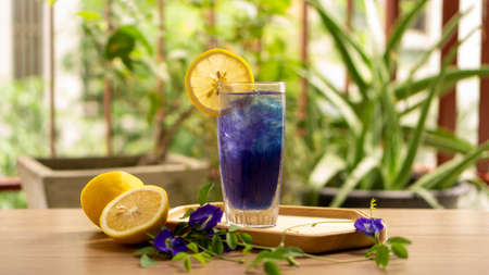 A glass of Blue Butterfly pea flower juiceの写真素材