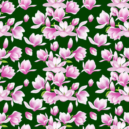 Pink Magnolia flower blossom patternの写真素材