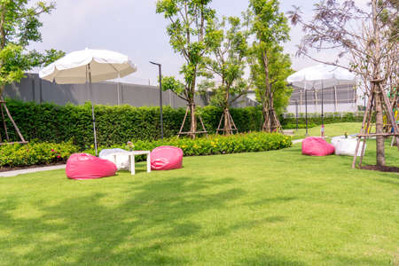 Garden of smooth green grass lawn with white and pink beanbag under white umbrella, trees, shrub, in a good maintenance landscaped backyard of the parkの写真素材