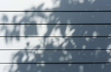 Blurred and abstract bokeh backgrounds of black shadow and shading of leaf and twig from tree...