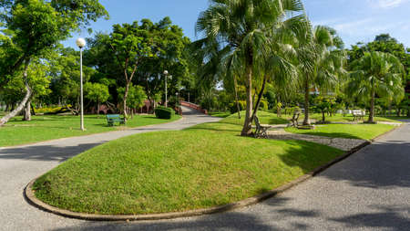 Green grass lawn garden by the walkway decorate with white seating chair under palm tree, greenery trees on background in good care maintenance landscape of public parkの写真素材
