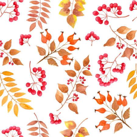 Yellow, brown autumn leaves, berry fruit seamless repeated pattern on white color background, branches floral botany watercolor illustration for  fashion fabric textiles and wallpaper wrappingの写真素材