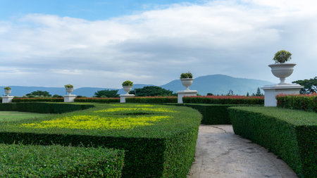 Landscape gardens design of European style garden with concrete walkway, greenery curve backyard...