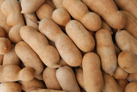 Tamarindの写真素材