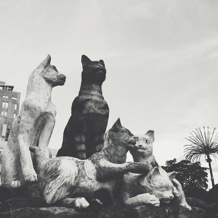 Cat statues in Kuching, Sarawakの写真素材