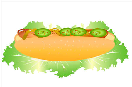 Hot dog with lettuce and tomato on white backgroundのイラスト素材