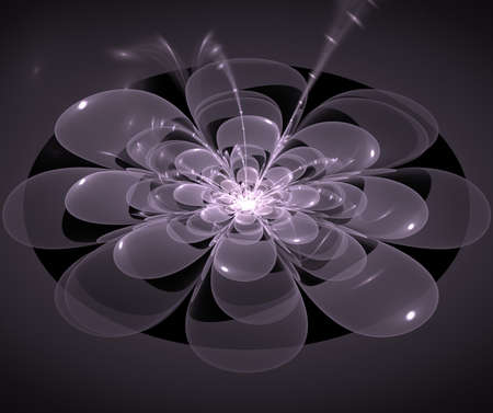 Abstract fractal flower gray computer generated image fantasyの写真素材