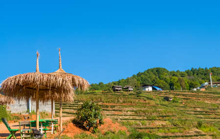 Beautiful tea plantation at doi angkhang , chiang mai , Thailandの写真素材