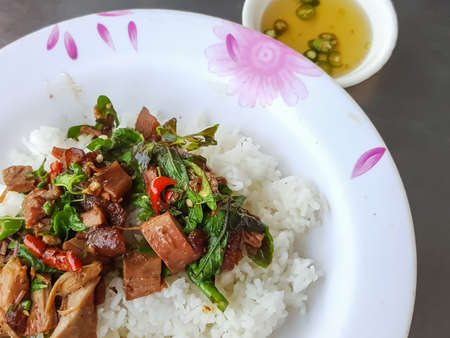 Close-up,Thai food style:Pad Kra Pao Kha Moo, spicy stir-fried pork leg with Thai/Holy basil ,chili serve with riceの写真素材