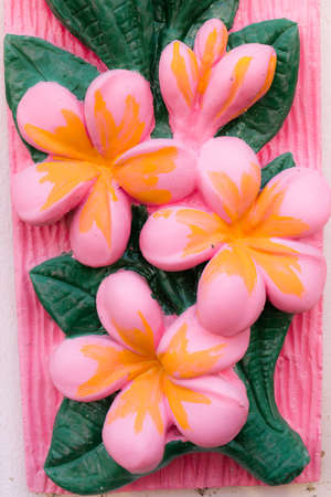 flower wall texture or background,process colorの写真素材