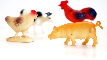 animal farm toyの写真素材