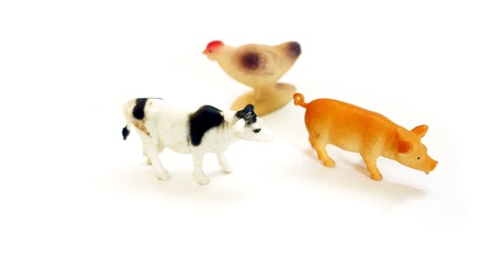 animal farm toyの写真素材