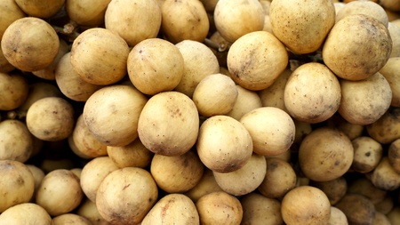 many wollongongs