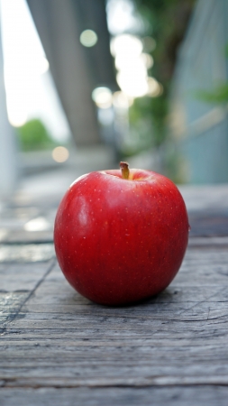 one red apple on wooden tableの写真素材