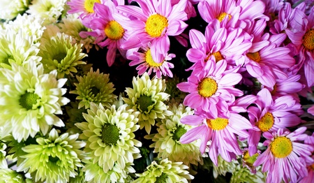 beautiful bouquet of bright flowerの写真素材