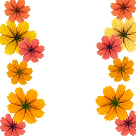 Orange, red and yellow gerbera daisyの写真素材