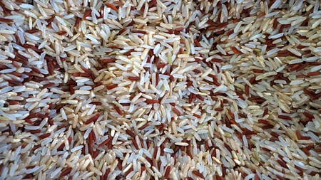 Uncooked brown rice grains backgroundの写真素材
