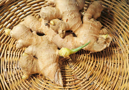 ginger in a basketの写真素材