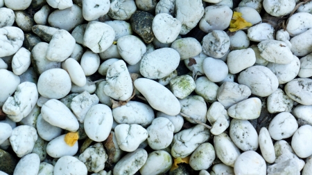 stone texture backgroundの写真素材