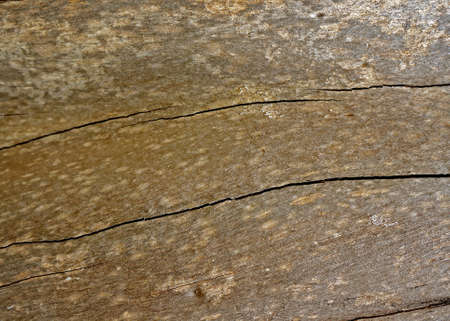 old wooden board, backgroundの写真素材