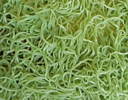 Green noodle backgroundの写真素材