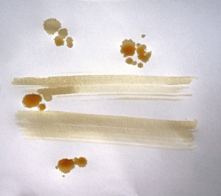 Coffee stain on paperの写真素材