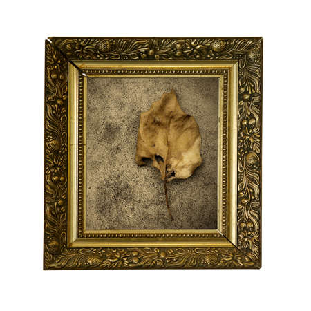 Dry yellow leave on old frame