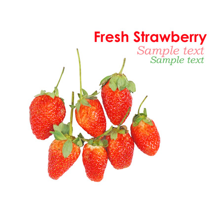 Strawberry isolated on white background  with sample text の写真素材