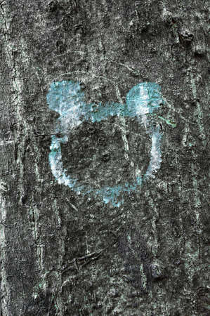 bark texture
